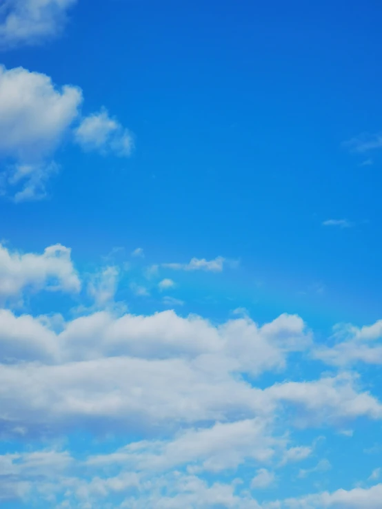 some animals are standing under a partly cloudy sky