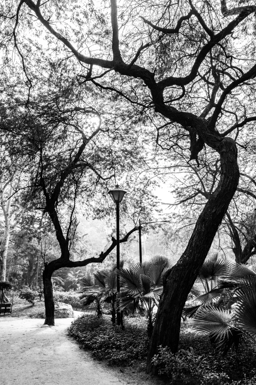 black and white po of park bench in dark