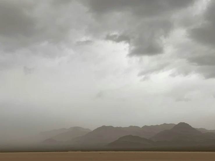 lone cattle graze on an open plain under dark storm clouds