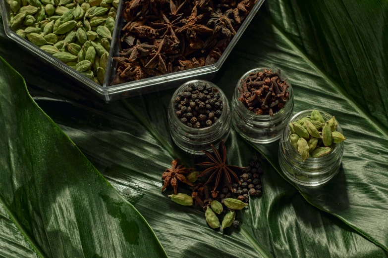 a group of plants are next to some glass containers