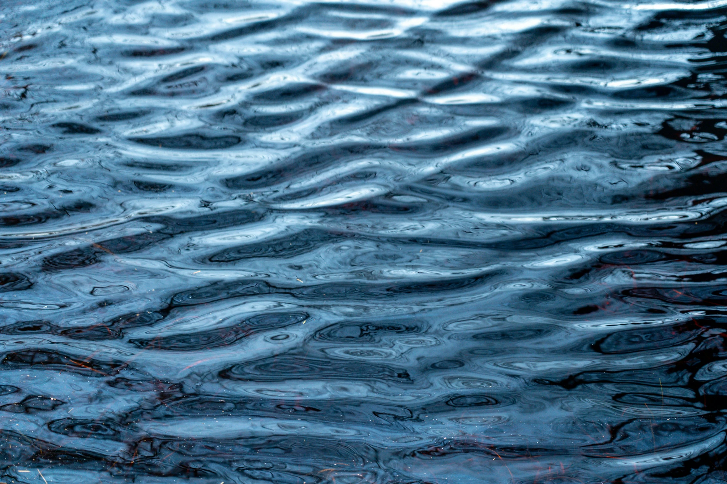 a pond filled with water and ripples next to the ground