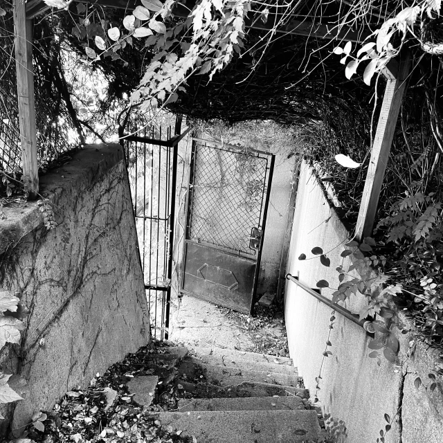 black and white image of an open gate at night