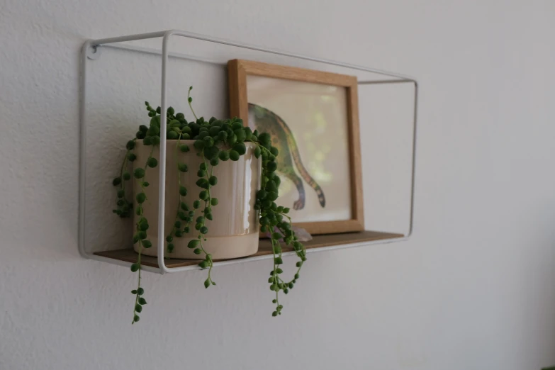 a plant hanging from the side of a wall shelf