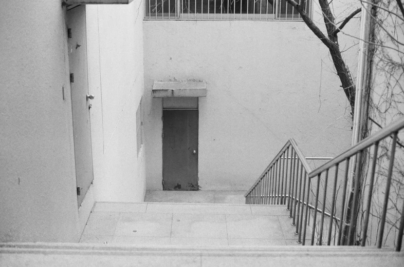 stairs leading to an upstairs stairwell near a tree