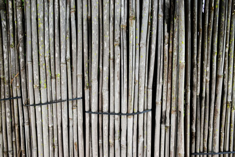 a picture of a large wooden fence next to some grass