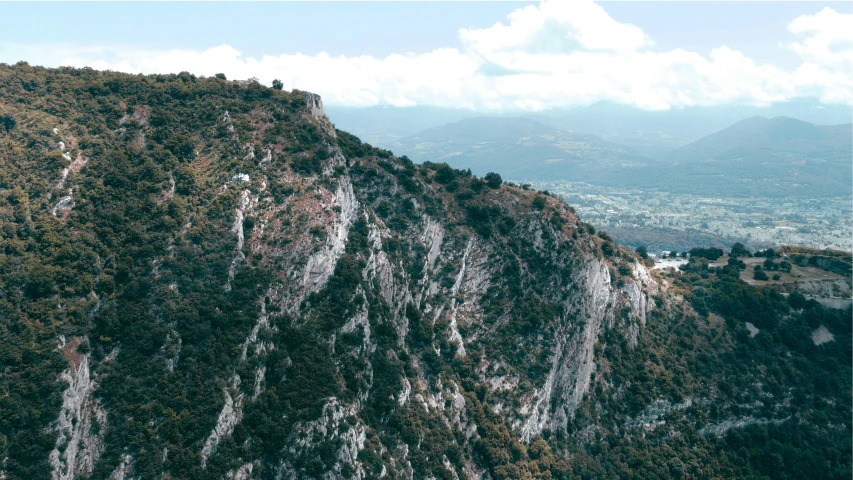 some trees on a cliff with a town in the distance