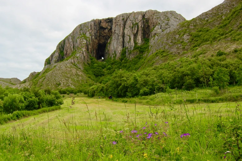 an overgrown meadow beneath an old rock formation