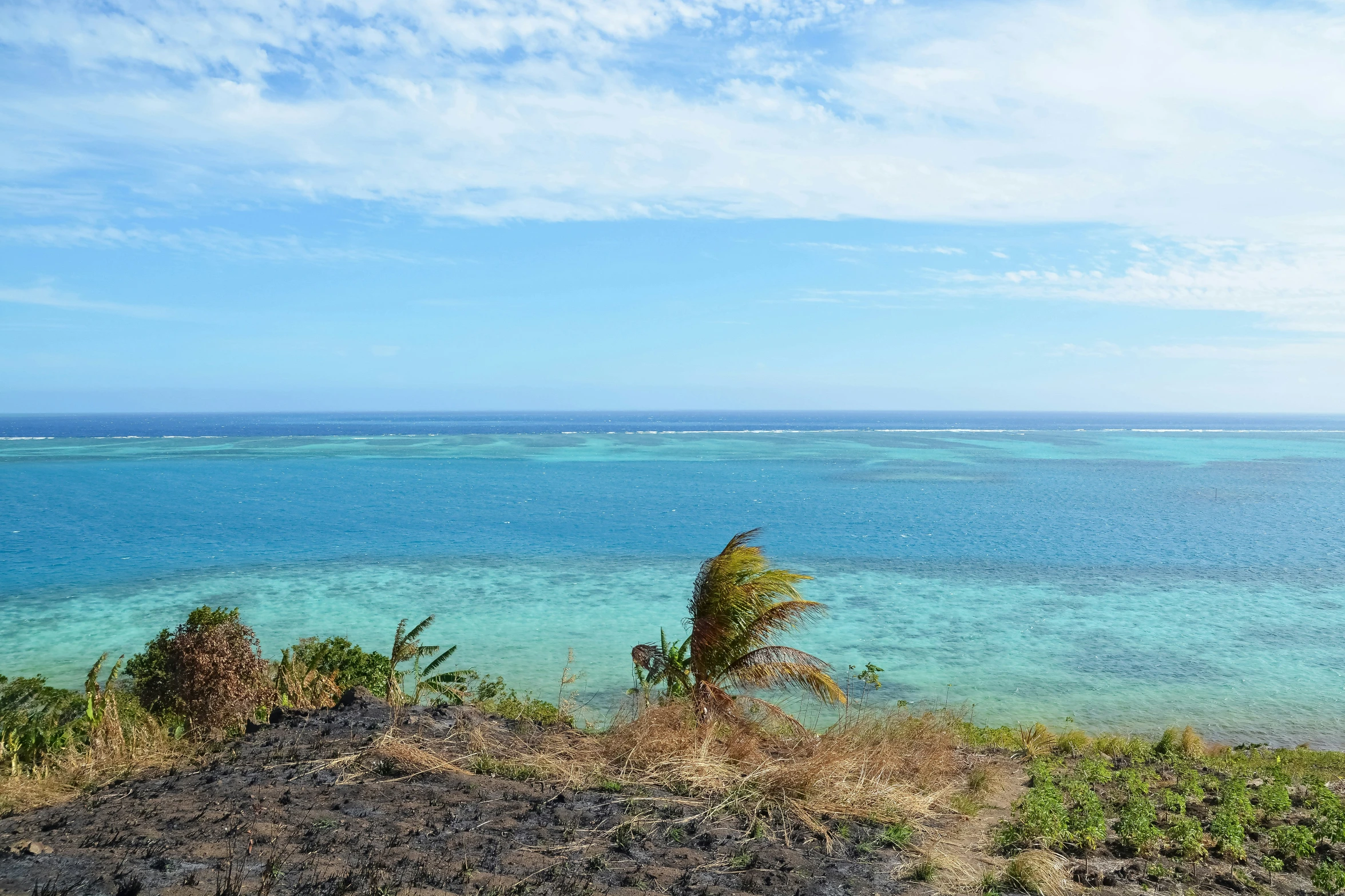 the ocean water is very clear as it sits by the shore