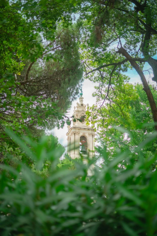 an image of a clock tower through a leafy tree