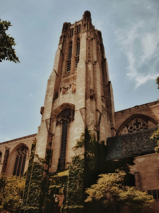 tall gothic church with tower and windows and a sunlit background