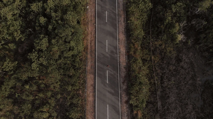 top down aerial view of a road in a thicket of forest