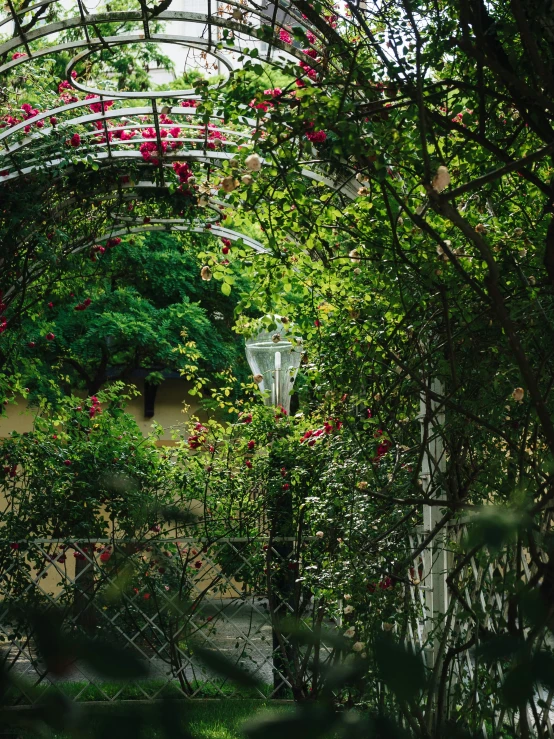 a gate is in the middle of an archway that has red flowers growing through it