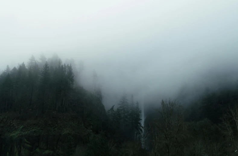 fog rolling in on the tree covered mountainside