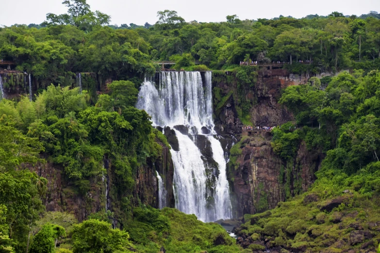 the large waterfall in the middle of the forest