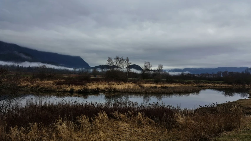 a lake surrounded by tall grass and mountains in the background