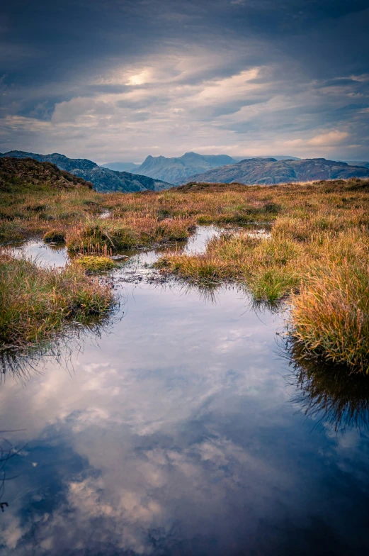 water surrounded by grassy and brown land with mountains in the background