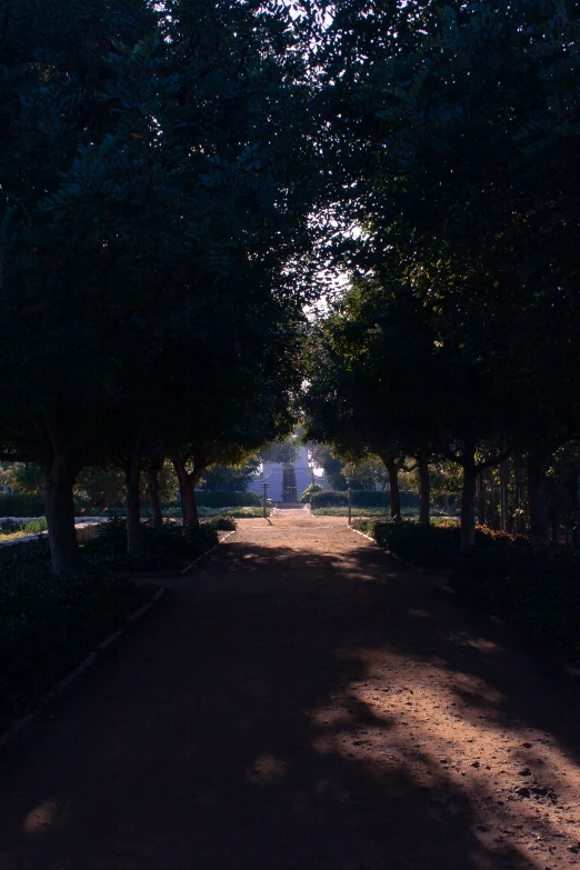 the sun is shining through some trees that line this walkway