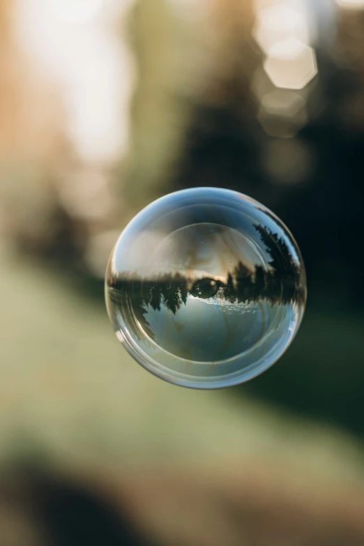 a clear bubble with trees reflected in it