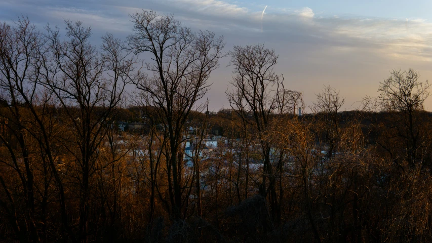 an image of trees in a distance looking across a river