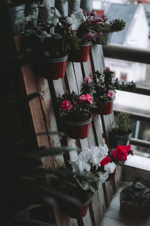 flowers are sitting on top of the bench