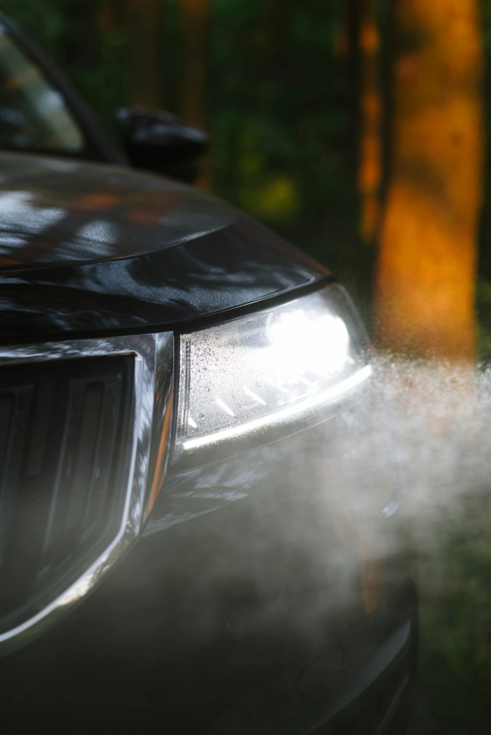 a dust storm hitting a car in a wooded area