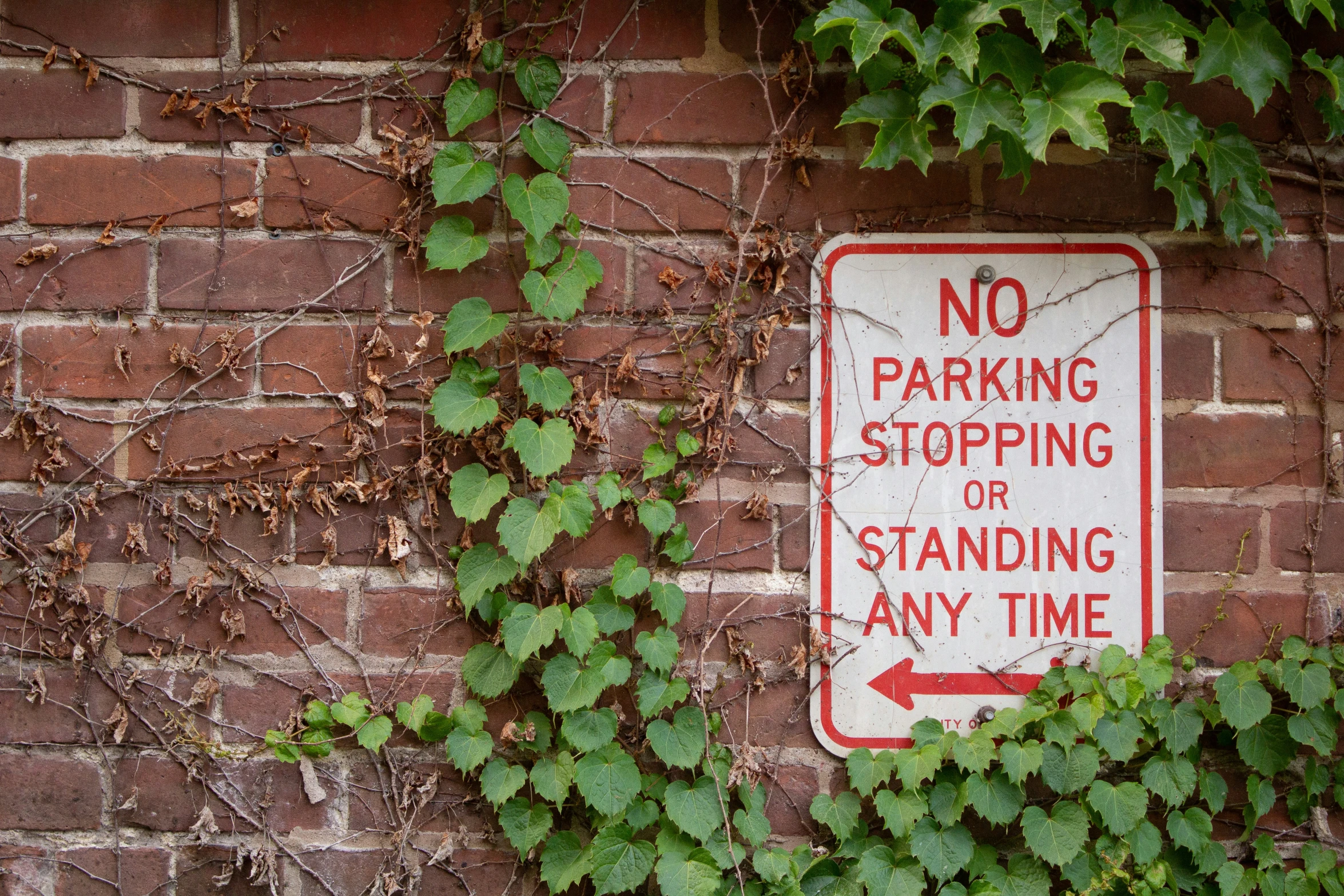 a red no parking sign hanging on a brick wall