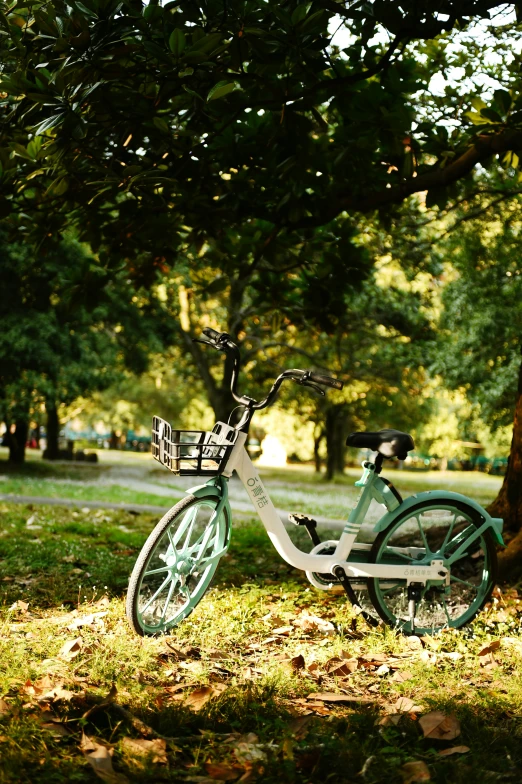 there is a green bike with two wheels that are on the grass