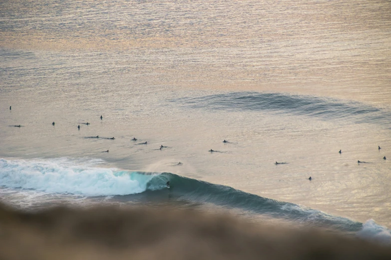 a body of water with a large amount of surf board