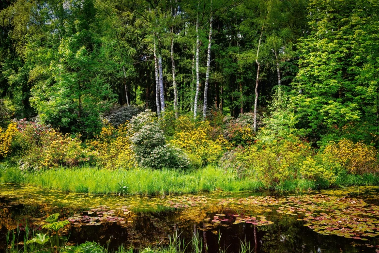 an image of an outdoor setting with water