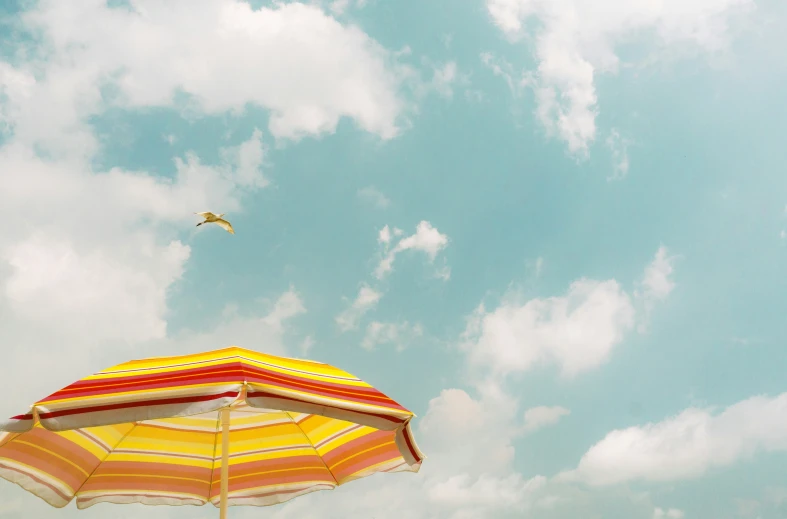 an umbrella that is upside down with a bird above it