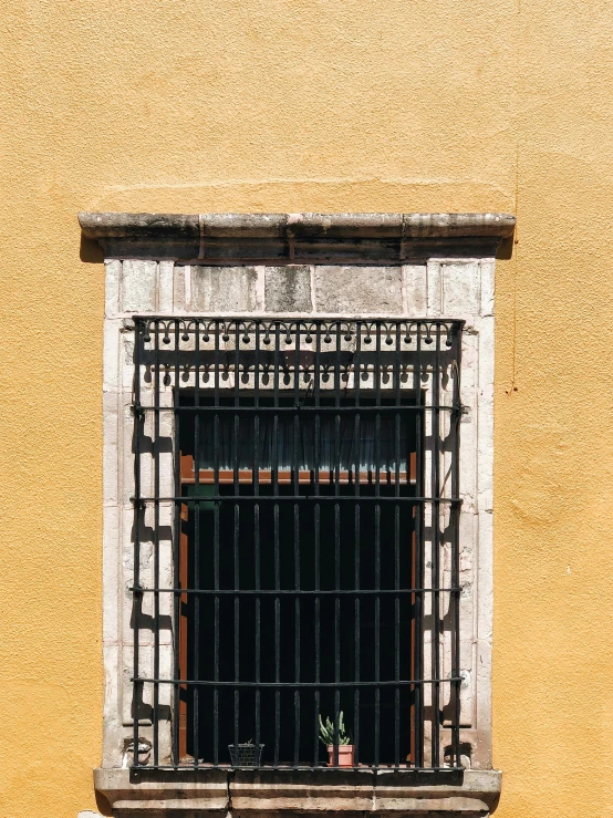 an iron - framed window is seen above a plant