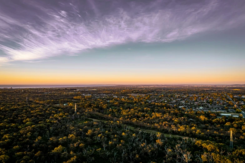 an aerial view of a city and trees at sunset