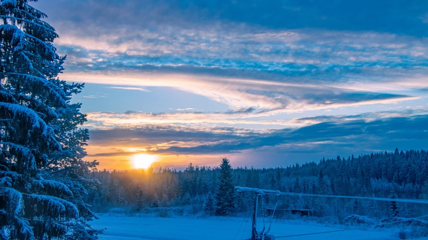 snow covered trees under a cloudy blue sky