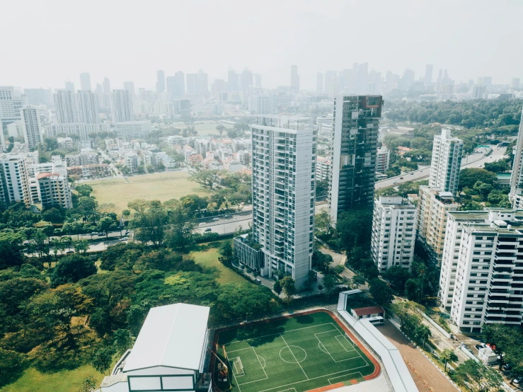 a city skyline with buildings and grassy field