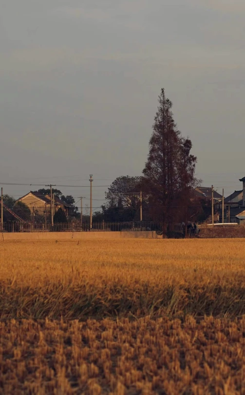 a large field that has buildings in the distance