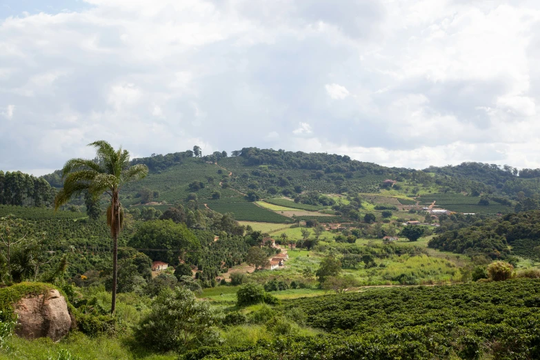 a lush green hillside surrounded by trees and a blue sky