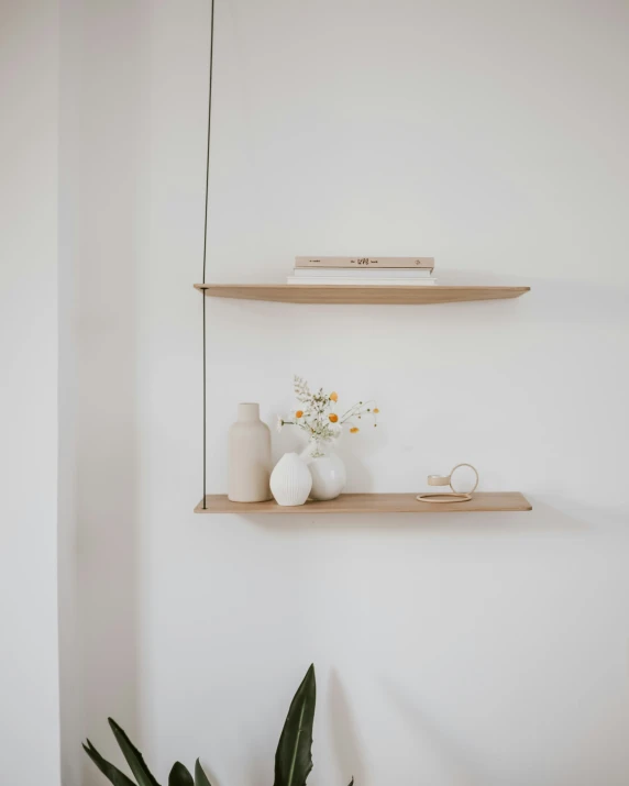 a plant sits on a shelf between two shelves