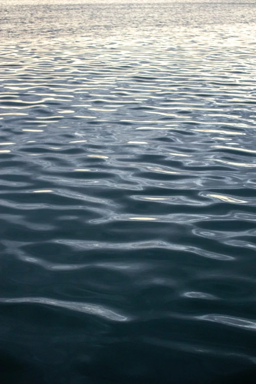 there are ripples on the water in the ocean