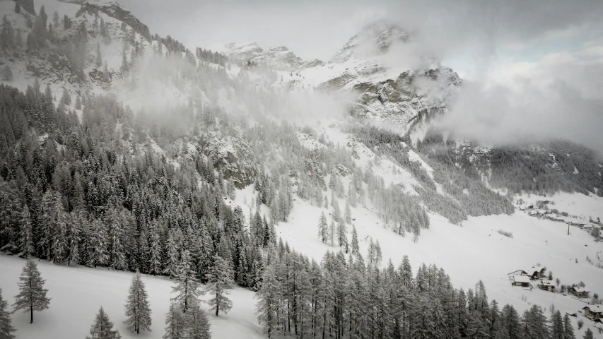 a snow covered mountain with lots of trees in the background