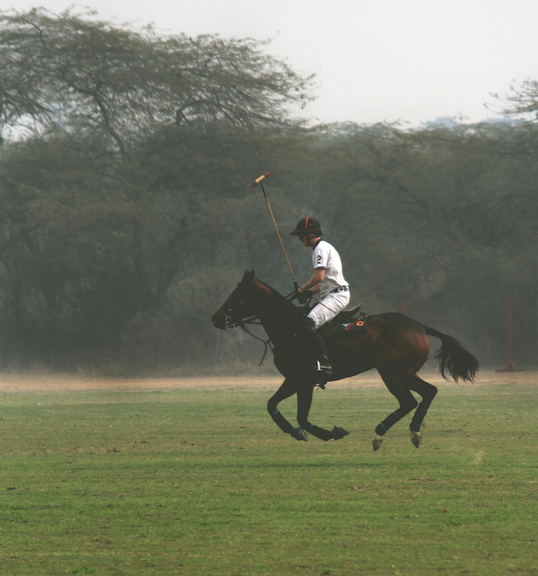 an image of a jockey on horseback playing polo