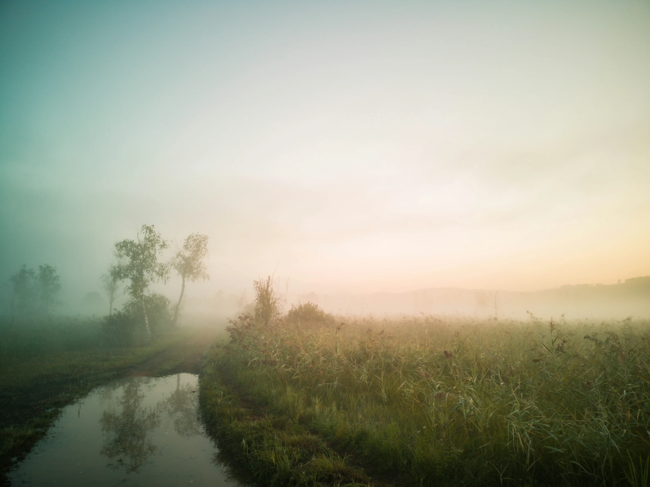 a foggy field with the sun setting