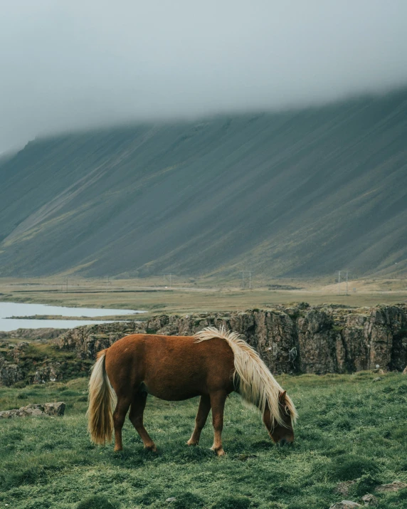 a horse is eating grass with a mountain in the background