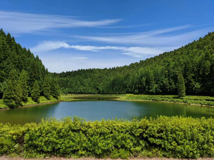 this is an open field with a small pond