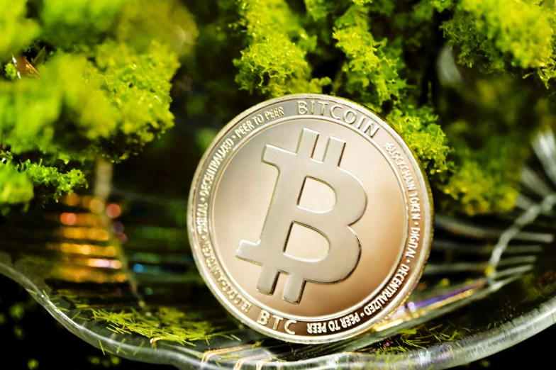 an electronic bit coin with some small trees