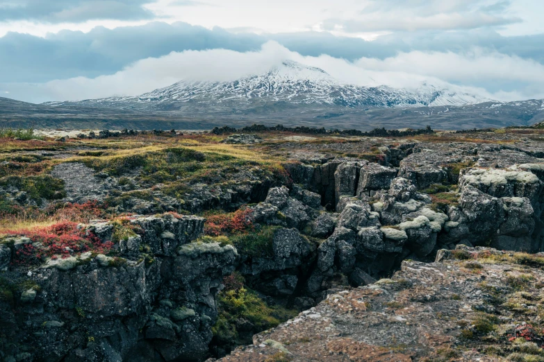 rocky terrain covered in grass, bushes and mountains