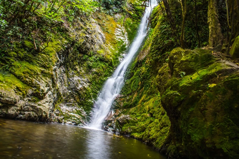 the waterfall in the green forest is tall