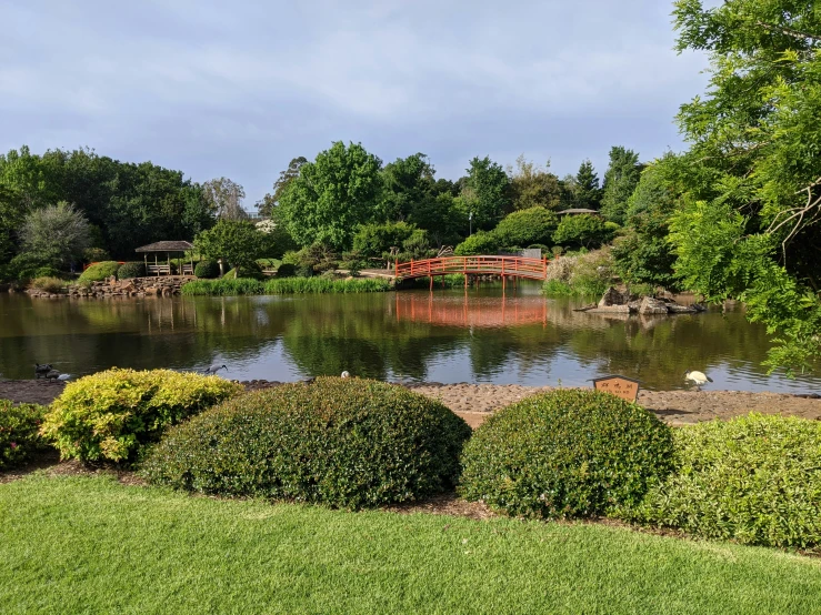 a lake that has some plants on it