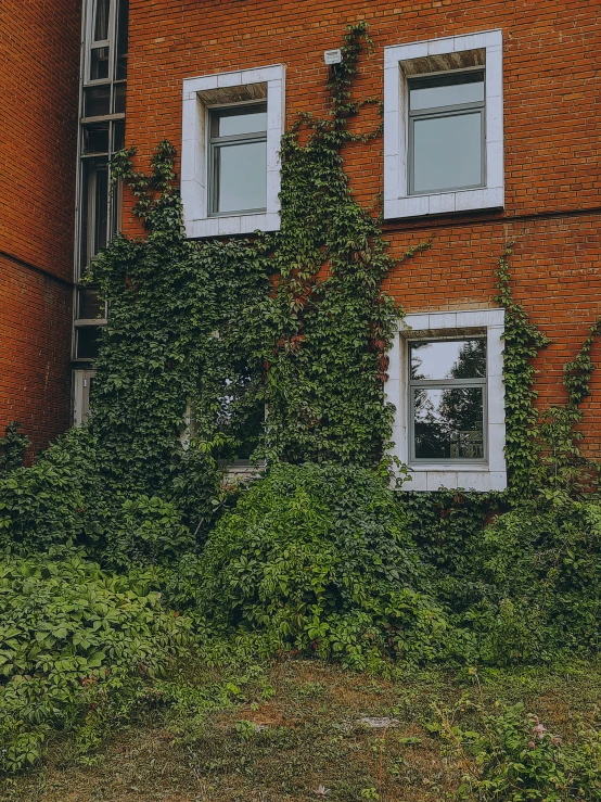 a tall building with windows and vines growing on the outside