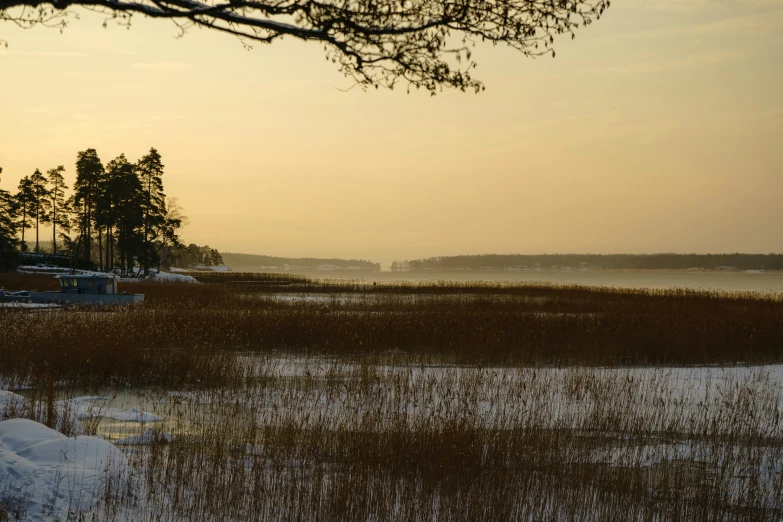 a field full of snow covered grass next to a lake