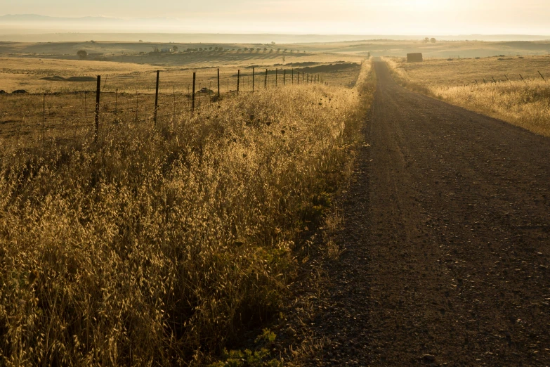 the dirt road is empty as the sun shines on the plains